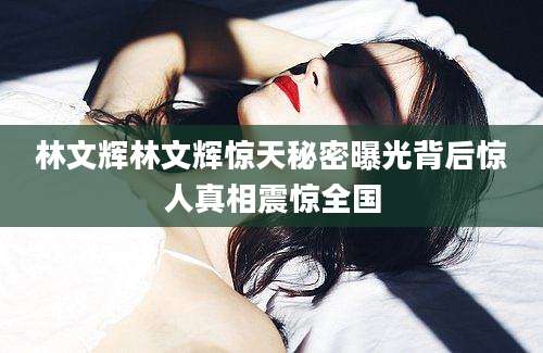 林文辉林文辉惊天秘密曝光背后惊人真相震惊全国