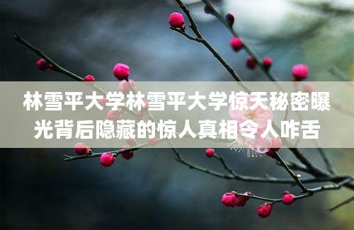 林雪平大学林雪平大学惊天秘密曝光背后隐藏的惊人真相令人咋舌