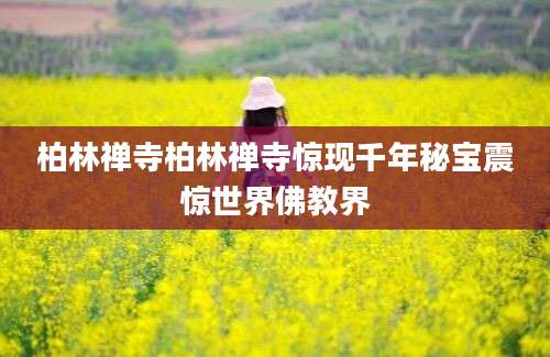 柏林禅寺柏林禅寺惊现千年秘宝震惊世界佛教界