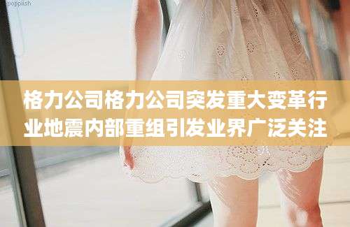 格力公司格力公司突发重大变革行业地震内部重组引发业界广泛关注