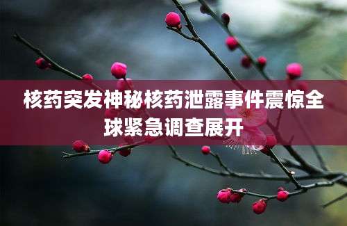 核药突发神秘核药泄露事件震惊全球紧急调查展开