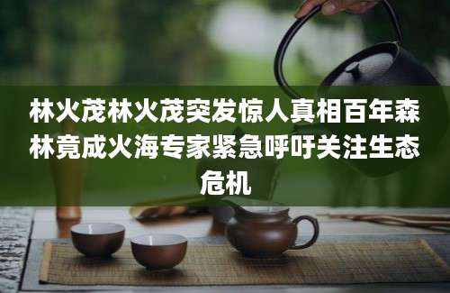 林火茂林火茂突发惊人真相百年森林竟成火海专家紧急呼吁关注生态危机