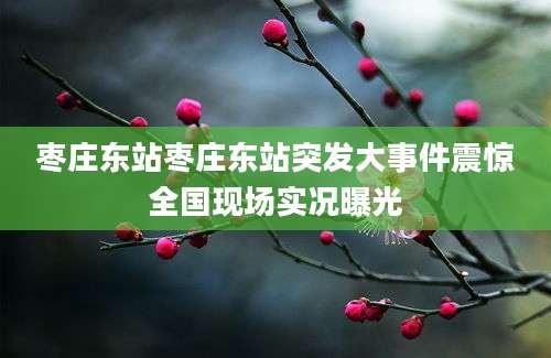 枣庄东站枣庄东站突发大事件震惊全国现场实况曝光
