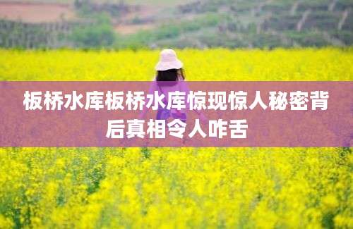 板桥水库板桥水库惊现惊人秘密背后真相令人咋舌