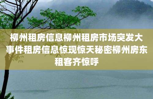 柳州租房信息柳州租房市场突发大事件租房信息惊现惊天秘密柳州房东租客齐惊呼