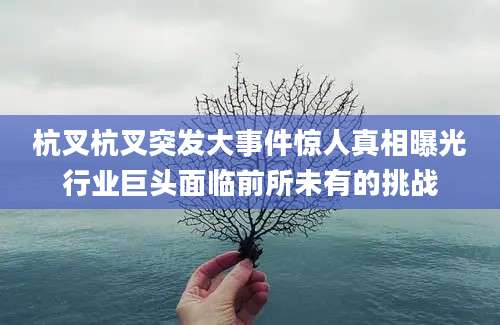 杭叉杭叉突发大事件惊人真相曝光行业巨头面临前所未有的挑战