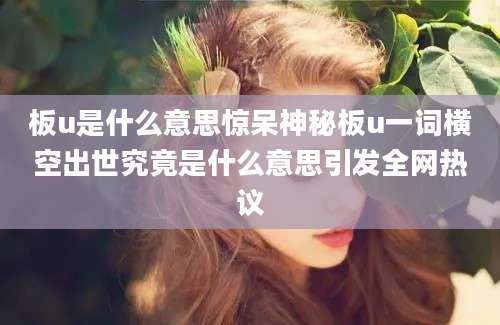 板u是什么意思惊呆神秘板u一词横空出世究竟是什么意思引发全网热议
