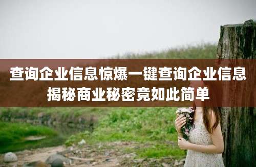 查询企业信息惊爆一键查询企业信息揭秘商业秘密竟如此简单