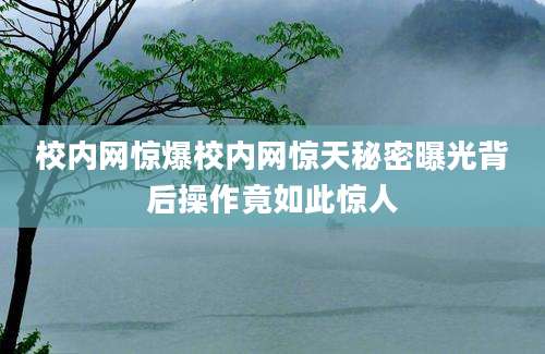 校内网惊爆校内网惊天秘密曝光背后操作竟如此惊人