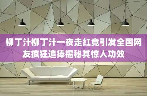 柳丁汁柳丁汁一夜走红竟引发全国网友疯狂追捧揭秘其惊人功效