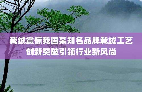 栽绒震惊我国某知名品牌栽绒工艺创新突破引领行业新风尚