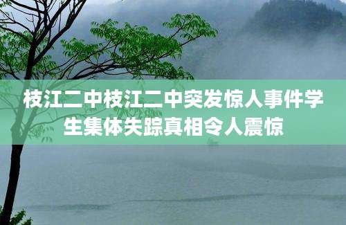 枝江二中枝江二中突发惊人事件学生集体失踪真相令人震惊