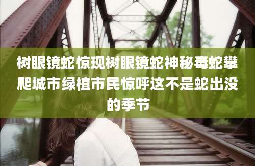 树眼镜蛇惊现树眼镜蛇神秘毒蛇攀爬城市绿植市民惊呼这不是蛇出没的季节