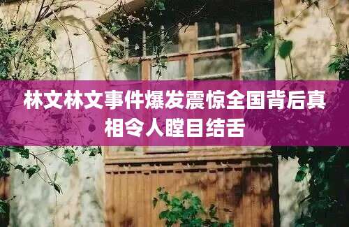 林文林文事件爆发震惊全国背后真相令人瞠目结舌