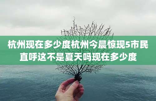 杭州现在多少度杭州今晨惊现5市民直呼这不是夏天吗现在多少度
