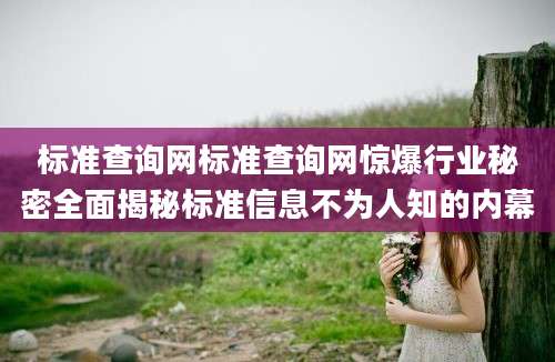 标准查询网标准查询网惊爆行业秘密全面揭秘标准信息不为人知的内幕