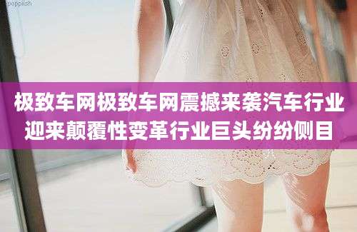 极致车网极致车网震撼来袭汽车行业迎来颠覆性变革行业巨头纷纷侧目