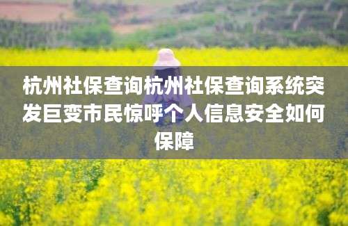 杭州社保查询杭州社保查询系统突发巨变市民惊呼个人信息安全如何保障