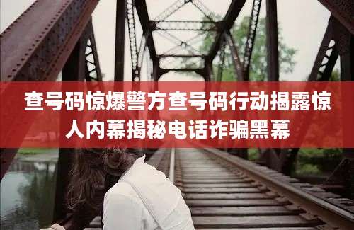 查号码惊爆警方查号码行动揭露惊人内幕揭秘电话诈骗黑幕