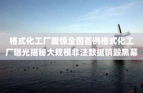 格式化工厂震惊全国首例格式化工厂曝光揭秘大规模非法数据销毁黑幕