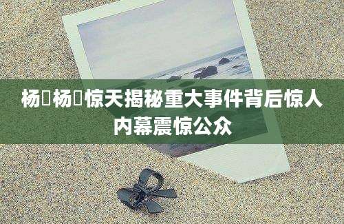 杨郃杨郃惊天揭秘重大事件背后惊人内幕震惊公众