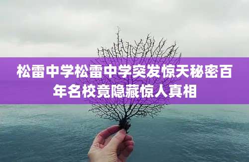 松雷中学松雷中学突发惊天秘密百年名校竟隐藏惊人真相