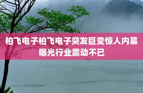 柏飞电子柏飞电子突发巨变惊人内幕曝光行业震动不已