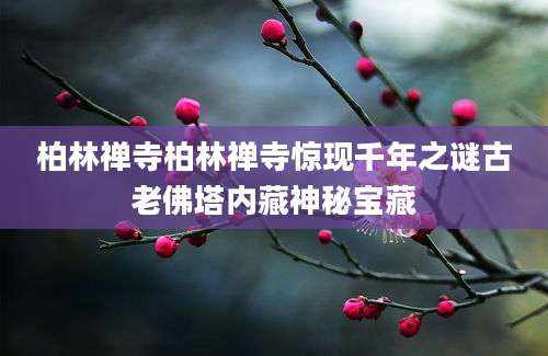 柏林禅寺柏林禅寺惊现千年之谜古老佛塔内藏神秘宝藏