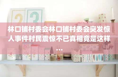 林口铺村委会林口铺村委会突发惊人事件村民震惊不已真相竟是这样...