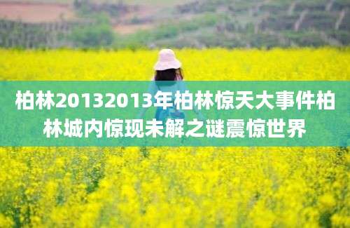 柏林20132013年柏林惊天大事件柏林城内惊现未解之谜震惊世界