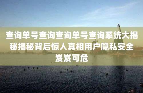 查询单号查询查询单号查询系统大揭秘揭秘背后惊人真相用户隐私安全岌岌可危