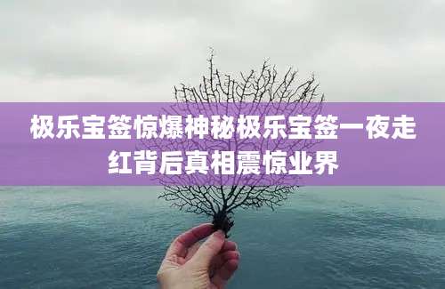 极乐宝签惊爆神秘极乐宝签一夜走红背后真相震惊业界