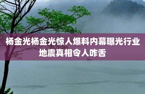 杨金光杨金光惊人爆料内幕曝光行业地震真相令人咋舌