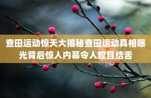 查田运动惊天大揭秘查田运动真相曝光背后惊人内幕令人瞠目结舌
