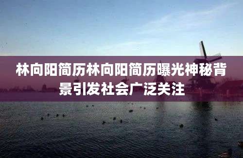 林向阳简历林向阳简历曝光神秘背景引发社会广泛关注